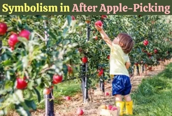 Symbolism in After Apple-Picking by Robert Frost Symbolism in After Apple-Picking by Robert Frost